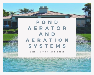 pond aerator and aeration systems at Smith creek fish farm