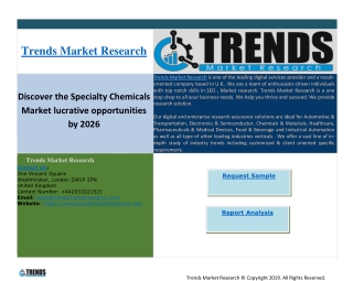 Discover the Specialty Chemicals Market lucrative opportunities by 2026