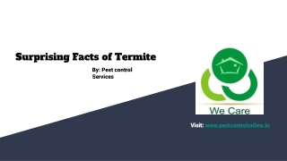 Surprising facts of termite