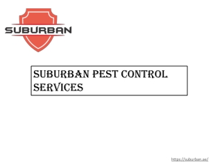 Pest Control Services in Dubai