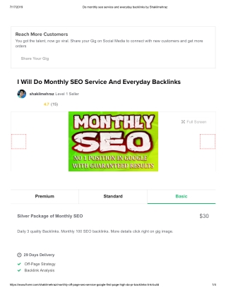 Monthly SEO Service