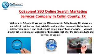 search engine optimization campaign marketing dallas