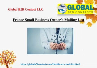 France Small Business Owner's Mailing List