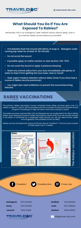 What Should You Do If You Are Exposed To Rabies?