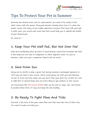 Tips To Protect Your Pet in Summer