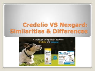 Credelio VS Nexgard: Similarities & Differences