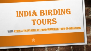 India Birding Tours