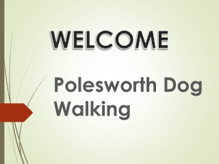 Dog Let Out in Polesworth