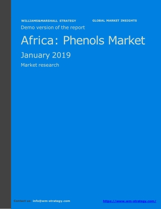 WMStrategy Demo Africa Phenols Market January 2019