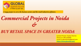 Commercial Projects in Noida