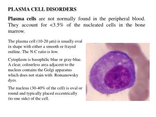 PLASMA CELL DISORDERS Plasma cells are not normally found in the peripheral blood. They account for <3.5% of the nuc