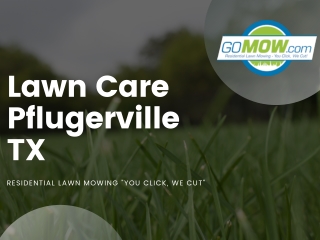 Are you ready for your lawn care in Pflugerville? - GoMow