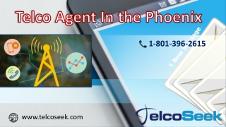 Enjoy best experience of Internet, Television and Telephone by our Telco Agent | TelcoSeek