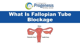 What Is Fallopian Tube Blockage?