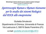 Spettroscopie Raman e Raman risonante per lo studio dei sistemi biologici: dal DNA alle emoproteine