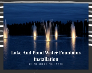 Lake And Pond Water Fountains Installation -Smith creek fish farm