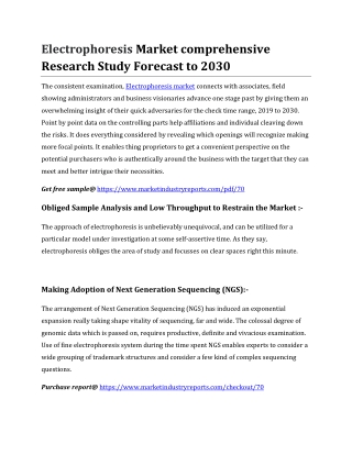 Electrophoresis Market comprehensive Research Study Forecast to 2030