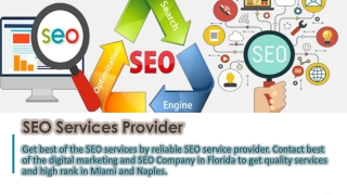 SEO Services Company Miami