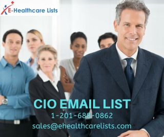 Chief Information Officer Mailing List | CIO Email list in USA