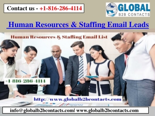 Human Resources & Staffing Email Leads