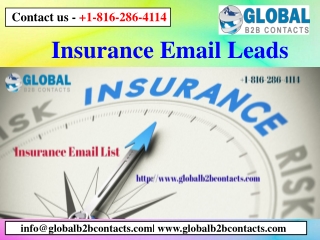 Insurance Email Leads