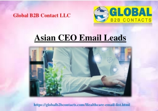 Asian CEO Email Leads