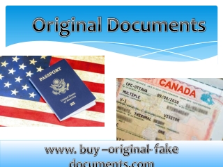 Buy genuine registered driver’s license