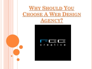 Why Should You Choose A Web Design Agency?