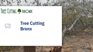 Tree Cutting BX