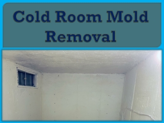 Cold Room Mold Removal