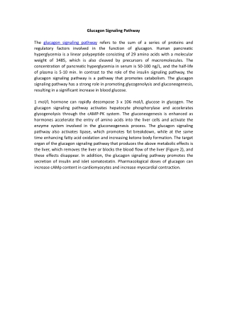 Glucagon Signaling Pathway