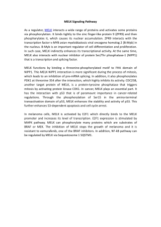 MELK Signaling Pathway