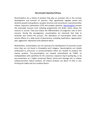 Neurotrophin Signaling Pathway