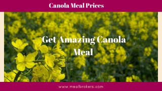 Select the Best Canola Meal from Meal Brokers