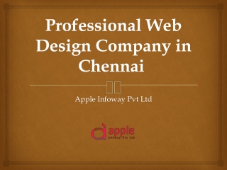 Professional Web Design Company in Chennai | Apple Infoway