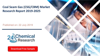 Coal Seam Gas (CSG/CBM) Market Research Report 2019-2025