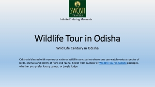 Wildlife tour in odisha