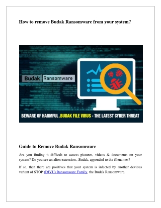 How to remove budak ransomware from your system