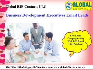 Business Development Executives Email Leads