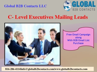 C- Level Executives Mailing Leads