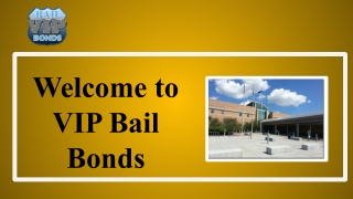 Professional Bondsman Service in Adams County | VIP Bail Bonds
