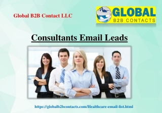 Consultants Email Leads