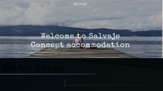 We Are Salvaje
