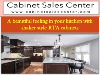 Shaker Style RTA Cabinets