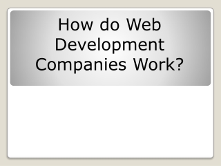 How do Web Development Companies Work?