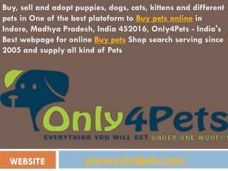 Buy pets online