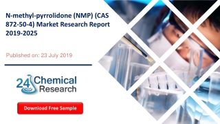 N-methyl-pyrrolidone (NMP) (CAS 872-50-4) Market Research Report 2019-2025