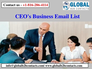 CEO's Business Email List