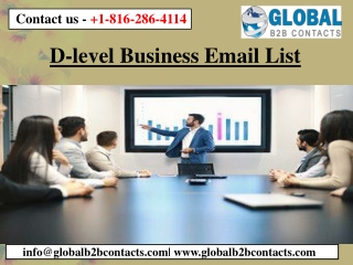 D-level Business Email List