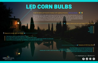 LED Corn Bulbs For Sale